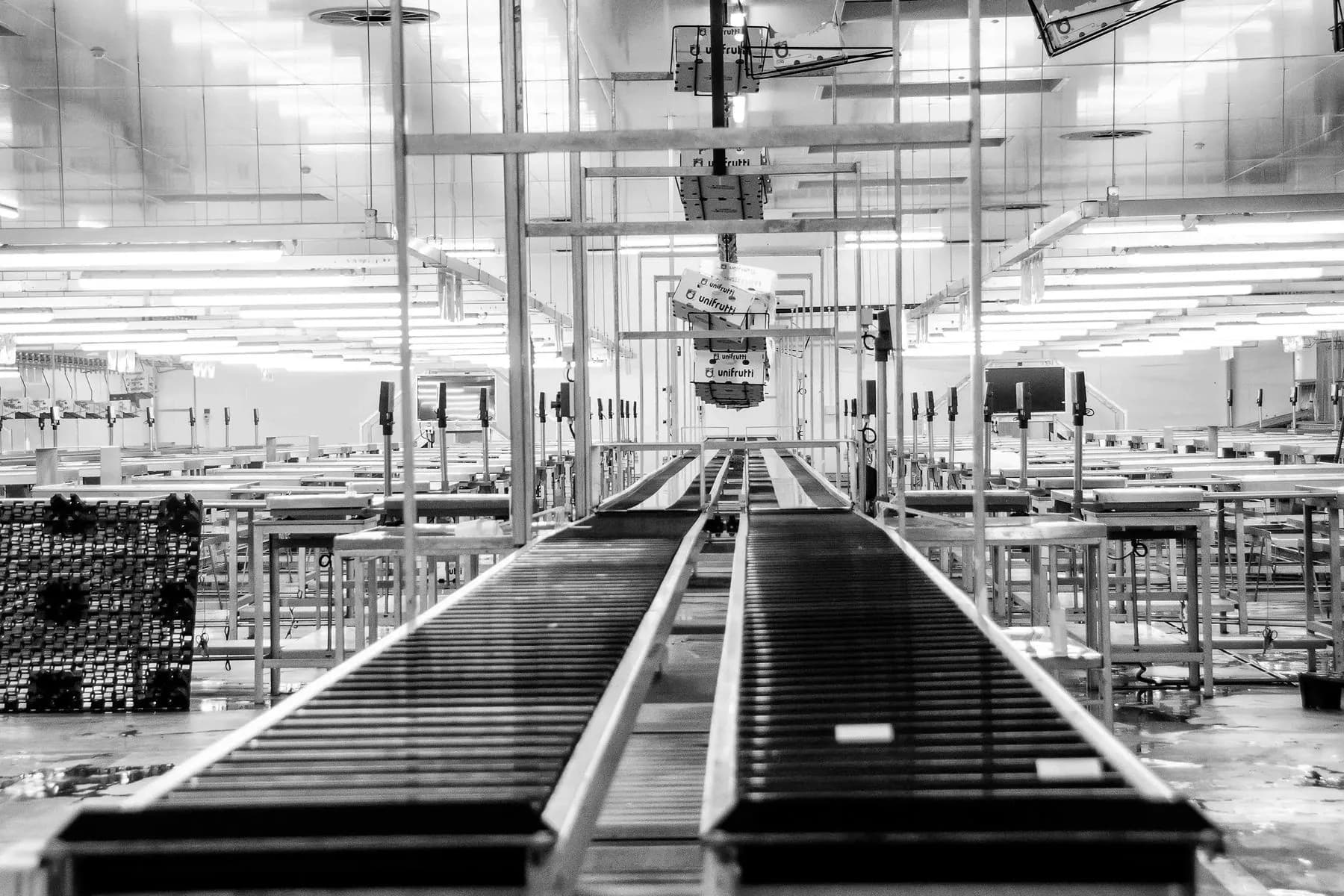 Factory conveyor system representing production oversight.